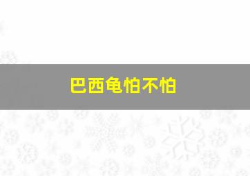 巴西龟怕不怕