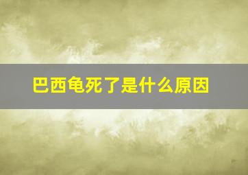 巴西龟死了是什么原因