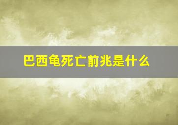 巴西龟死亡前兆是什么