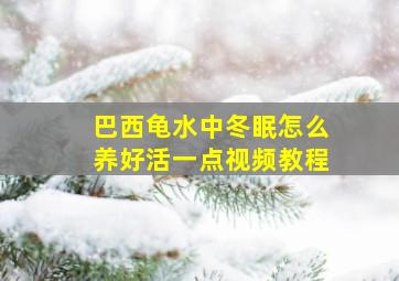 巴西龟水中冬眠怎么养好活一点视频教程