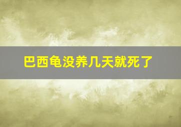 巴西龟没养几天就死了