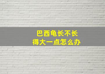 巴西龟长不长得大一点怎么办