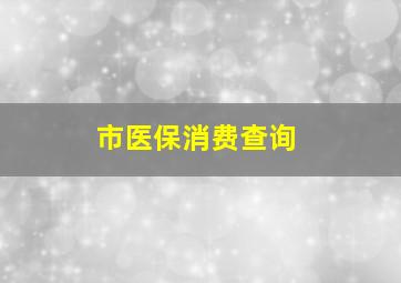 市医保消费查询