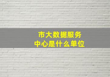 市大数据服务中心是什么单位