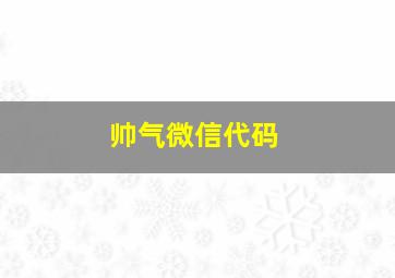 帅气微信代码