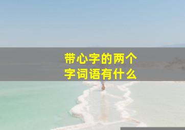 带心字的两个字词语有什么