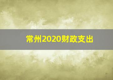 常州2020财政支出