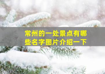 常州的一处景点有哪些名字图片介绍一下