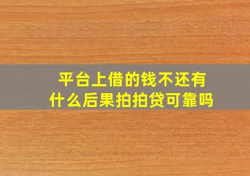 平台上借的钱不还有什么后果拍拍贷可靠吗