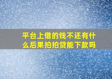 平台上借的钱不还有什么后果拍拍贷能下款吗