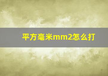 平方毫米mm2怎么打