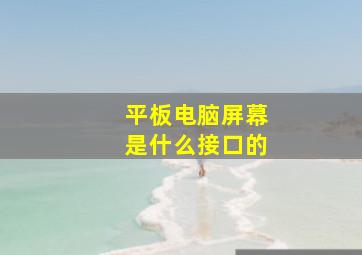 平板电脑屏幕是什么接口的