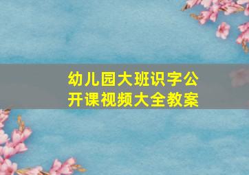 幼儿园大班识字公开课视频大全教案