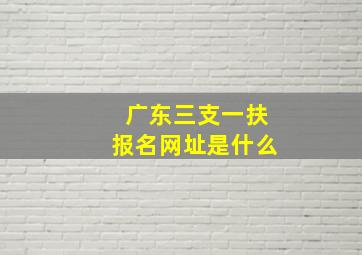 广东三支一扶报名网址是什么