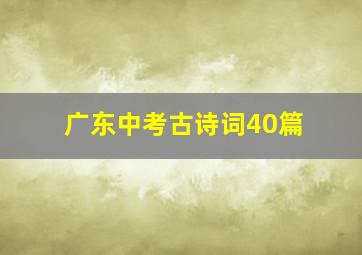 广东中考古诗词40篇