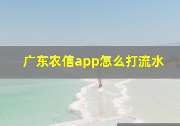 广东农信app怎么打流水