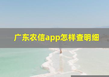 广东农信app怎样查明细