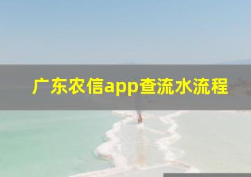 广东农信app查流水流程