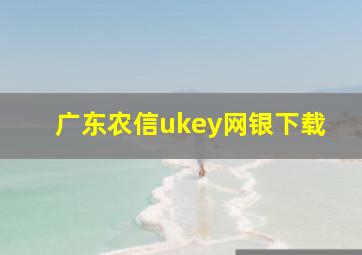 广东农信ukey网银下载