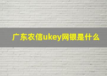 广东农信ukey网银是什么