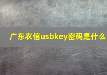 广东农信usbkey密码是什么