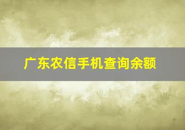 广东农信手机查询余额