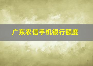 广东农信手机银行额度