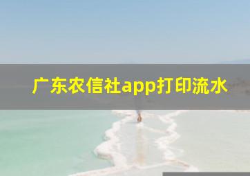 广东农信社app打印流水