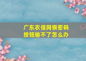 广东农信网银密码按钮输不了怎么办