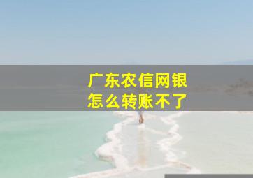 广东农信网银怎么转账不了