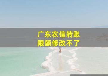 广东农信转账限额修改不了