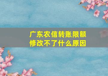 广东农信转账限额修改不了什么原因