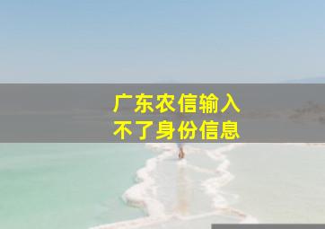 广东农信输入不了身份信息