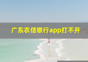 广东农信银行app打不开