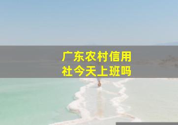 广东农村信用社今天上班吗