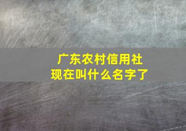 广东农村信用社现在叫什么名字了