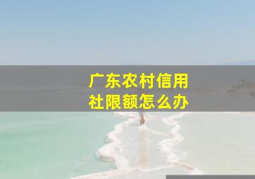 广东农村信用社限额怎么办