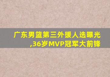 广东男篮第三外援人选曝光,36岁MVP冠军大前锋