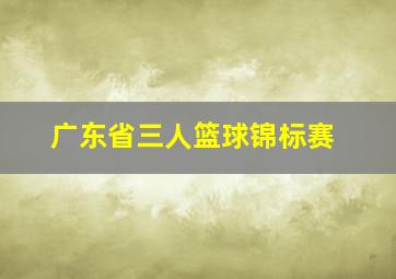 广东省三人篮球锦标赛