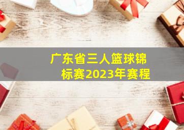 广东省三人篮球锦标赛2023年赛程