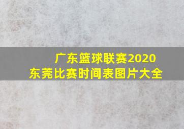 广东篮球联赛2020东莞比赛时间表图片大全