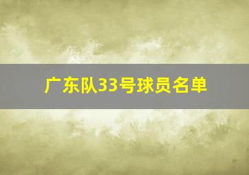 广东队33号球员名单