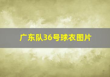 广东队36号球衣图片