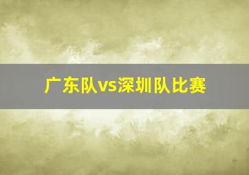 广东队vs深圳队比赛