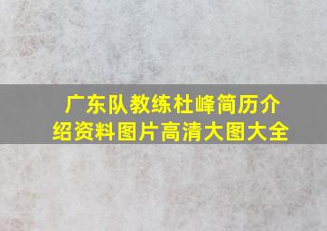 广东队教练杜峰简历介绍资料图片高清大图大全