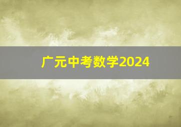 广元中考数学2024