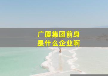 广厦集团前身是什么企业啊