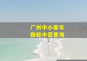 广州中小客车指标中签查询