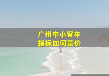 广州中小客车指标如何竞价