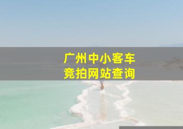 广州中小客车竞拍网站查询